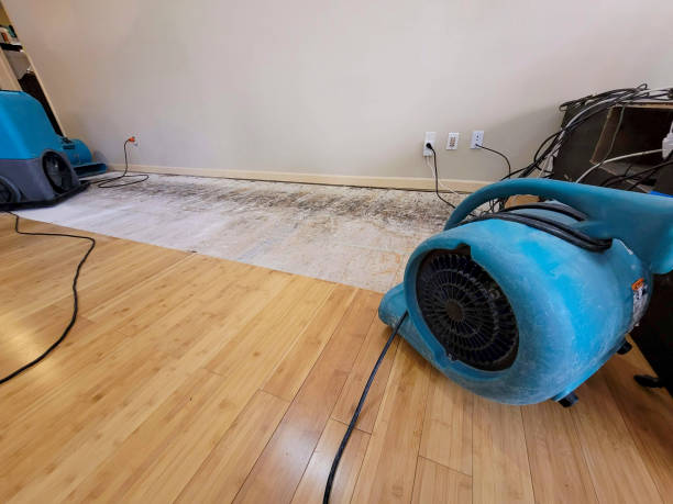 Professional Sewage Cleanup technician working in Rosemount, MN